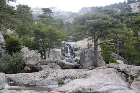 anglais1.jpg anglais1.jpg