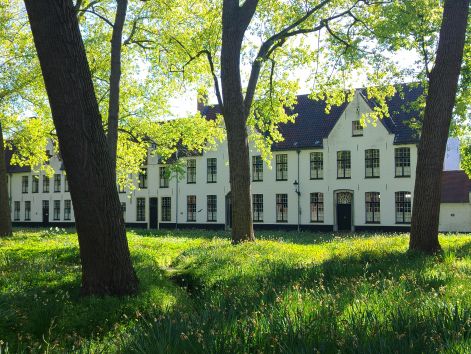 beginjhof.jpg