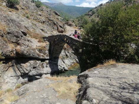 genovaihid.jpg genovaihid.jpg