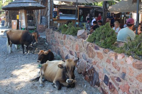 giorlatatehen1.jpg giorlatatehen1.jpg