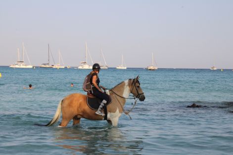 giulia2.jpg giulia2.jpg