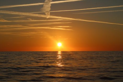 hulyenaplemente3.jpg hulyenaplemente3.jpg