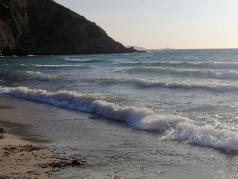 ostriconi.jpg ostriconi.jpg